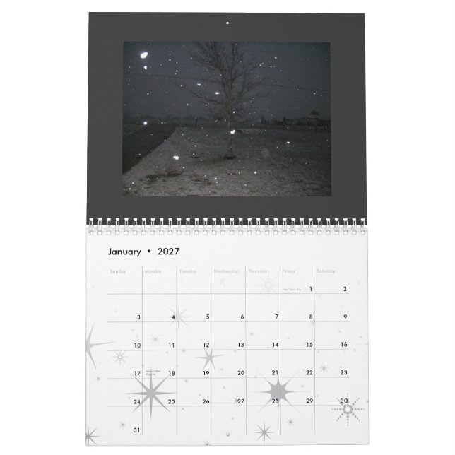 Punk Photography 2009 Calendar (Jan 2027)