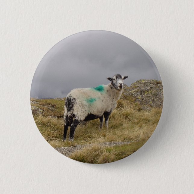 Punk sheep 6 cm round badge (Front)