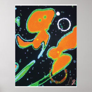 Punkin KC Image Poster