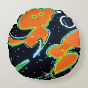 Punkin KC image Round Cushion