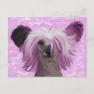 Punky2 Postcard