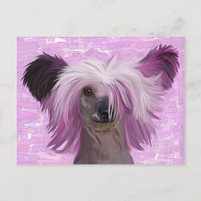 Punky2 Postcard (Front)