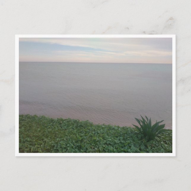 Punta Bianca (Italy) Postcard (Front)