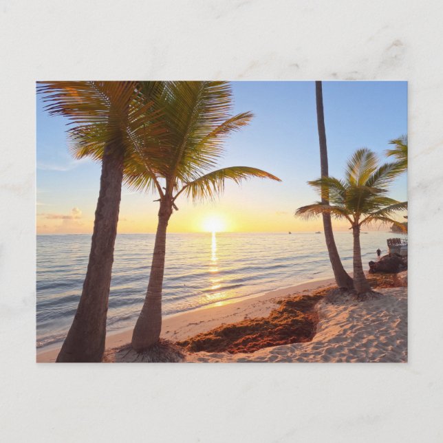 PUNTA CANA SUNRISE POSTCARD (Front)