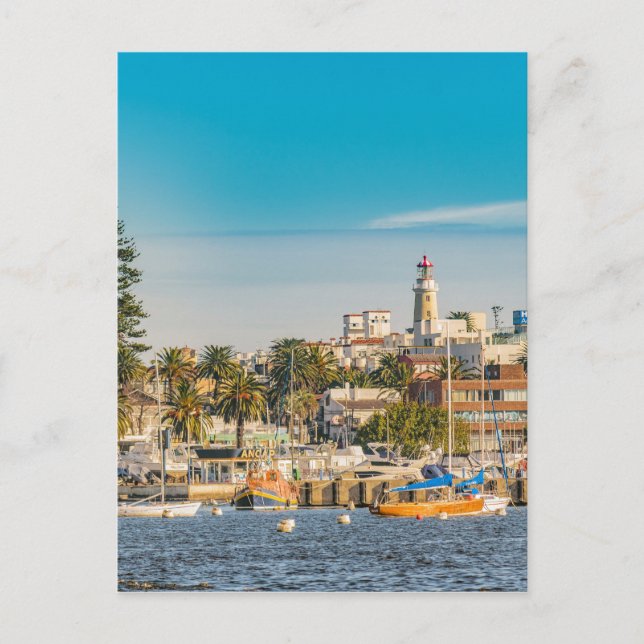 Punta del Este Port, Uruguay Postcard (Front)