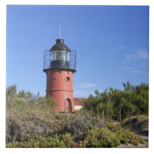 Punta Delgada, Valdes Peninsula, Chubut Tile