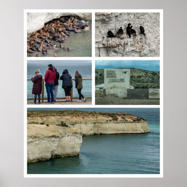 Punta loma photo collage, chubut province, argenti poster (Front)