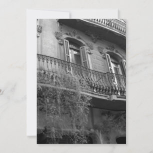 Punto de Vista Invitation (Barcelona, Spain)