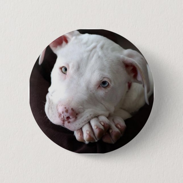 Pup 6 Cm Round Badge (Front)