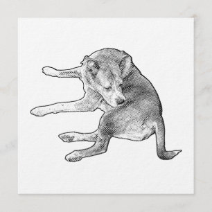 Pup Fun Gathering Invitation