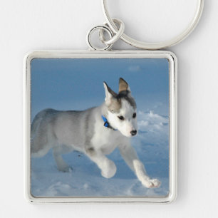 Pup in the snow key ring