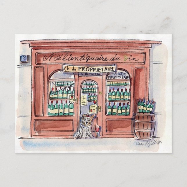 Pup on rue Malar, Paris Postcard (Front)