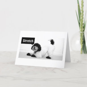 PUP SAYS STRETCH AND RELAX TODAY! CARD