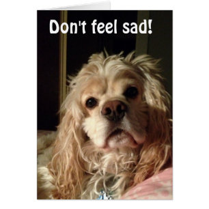 PUP SAYS WOOF U LOOK GOOD FOR TURNING "50"