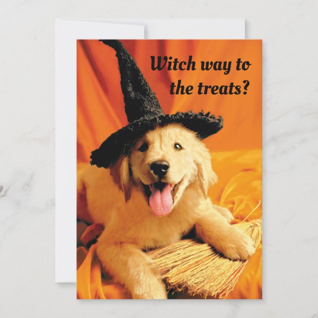 Pup With Witch Hat and Broom Invitation (Front)