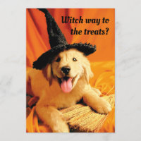 Pup With Witch Hat and Broom
