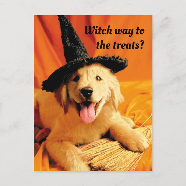 Pup With Witch Hat and Broom Invitation Postcard (Front)