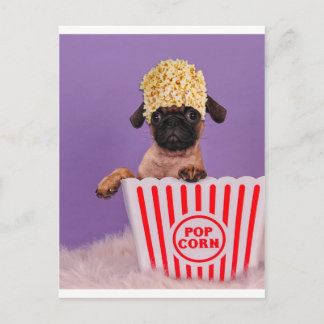 Pupcorn anyone? postcard