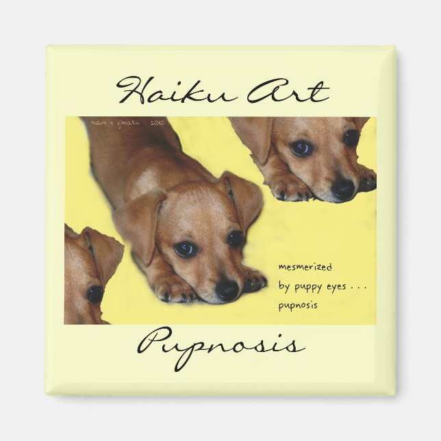 Pupnosis Haiku Art Magnet (Front)