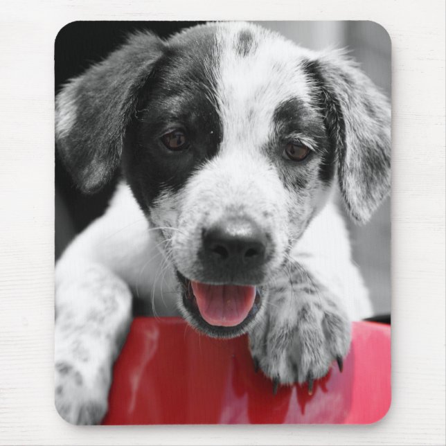 Pupp Mouse Mat (Front)