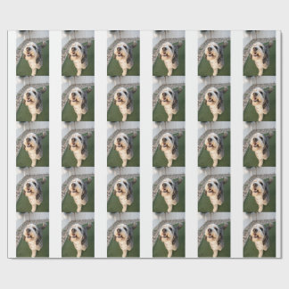 Pupper Socks Wrapping Paper