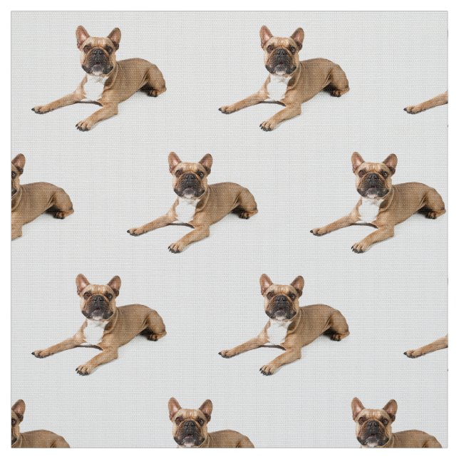 Puppie Fabric (Swatch)