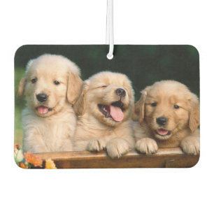 Puppies Air Freshener