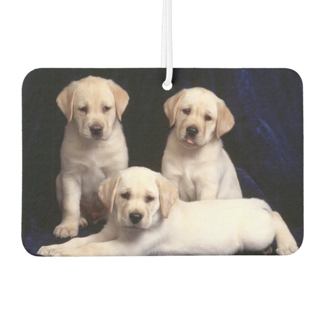 Puppies Air Freshener (Front)