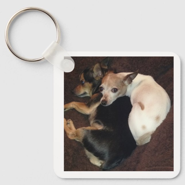Puppies and Art Key Ring (Front)