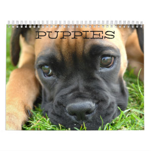 Puppies Calendar