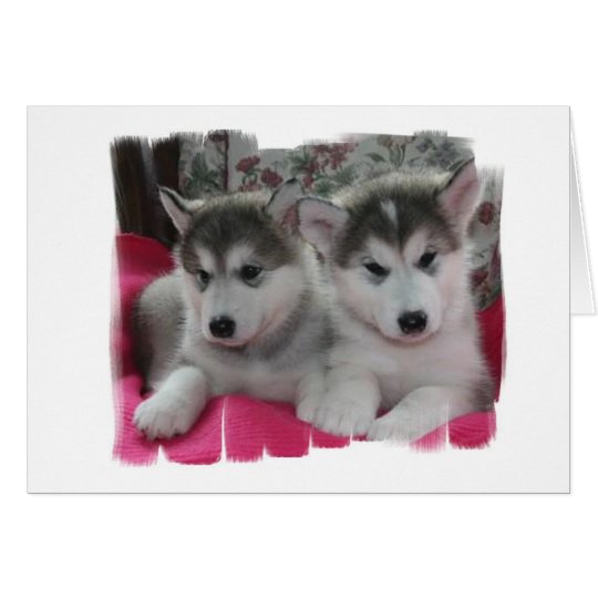 Puppies Card