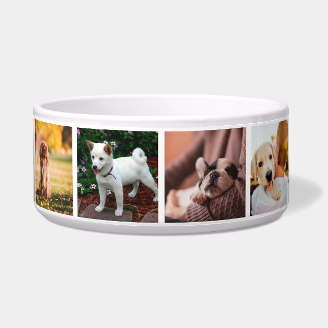 Puppies Dogs Instagram Photos (Front)