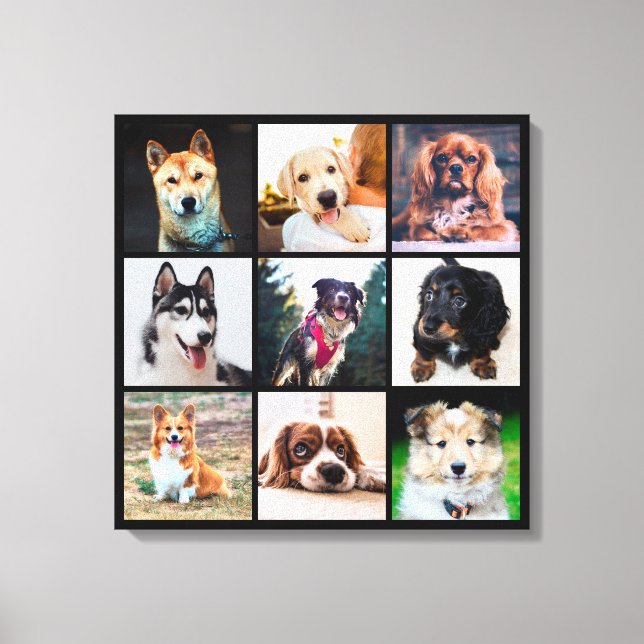 Puppies Dogs Instagram Photos Canvas Print (Front)