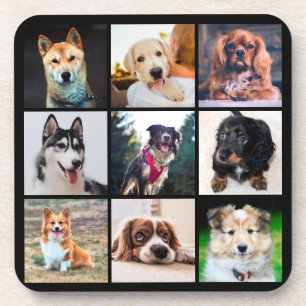 Puppies Dogs Instagram Photos Coaster