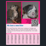 puppies for sale flyer template QR code<br><div class="desc">Introducing our beautiful puppies for sale flyer template, designed especially for Great Dane enthusiasts like you! Featuring three personalised and adorable Great Dane puppy pictures, this flyer captures the essence of cuteness and charm. With coral as the highlight colour, it adds a touch of vibrancy and playfulness to the overall...</div>