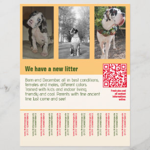 puppies for sale flyer with QR code orange