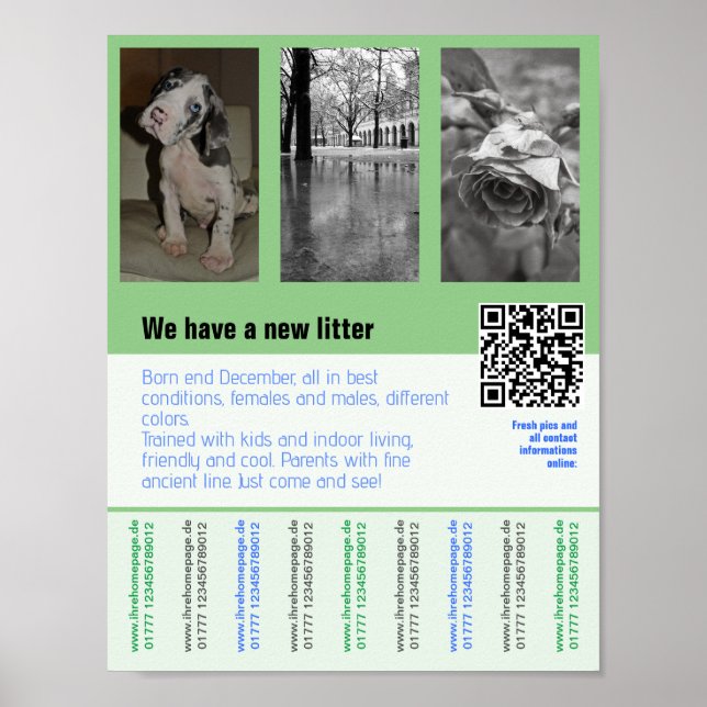 puppies for sale flyer with QR code Poster (Front)
