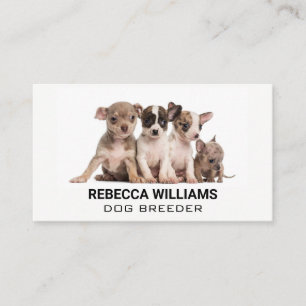 Puppies in a Group Business Card