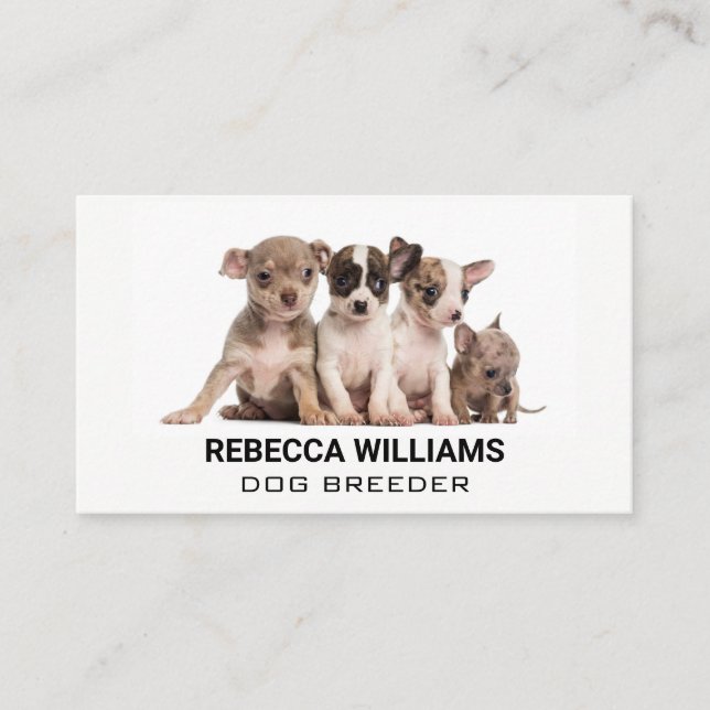 Puppies in a Group Business Card (Front)