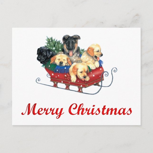 PUPPIES IN SLED WITH TREE FOR CHRISTMAS POSTCARD (Front)