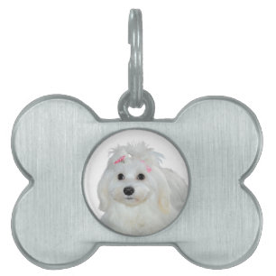 Puppies Love Cute Maltese Dog Pet ID Tag