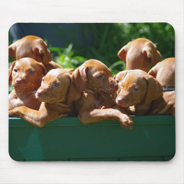 Puppies Mouse Mat (Front)