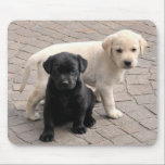 puppies mousepad<br><div class="desc">labrador puppies</div>