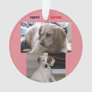 Puppies & Sis Ornament