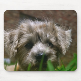 Pupppy Mouse Pad