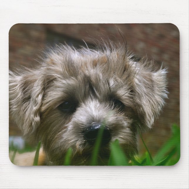 Pupppy Mouse Pad (Front)