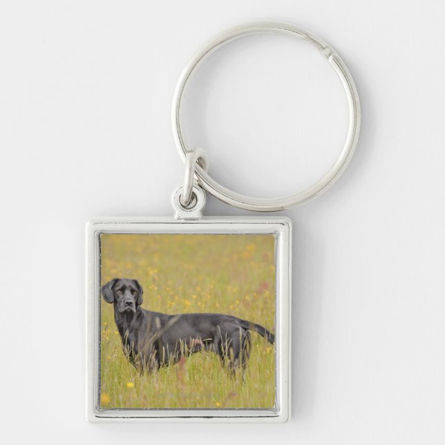 Puppy 16 Months Key Ring (Front)