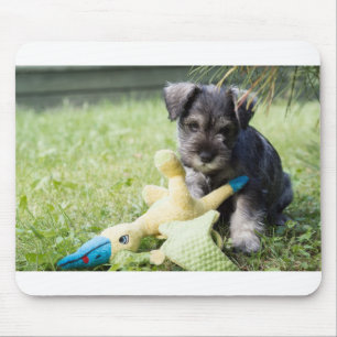 puppy 2 mini schnauzer mouse mat