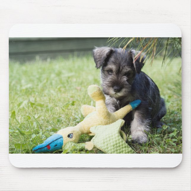 puppy 2 mini schnauzer mouse mat (Front)