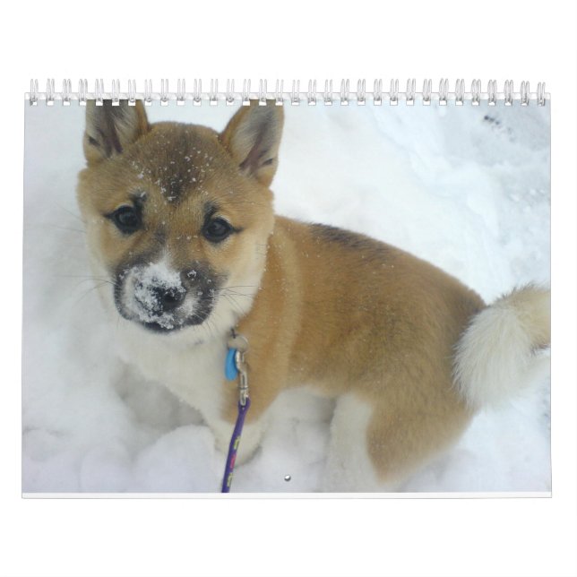 puppy 3 shiba inu.png calendar (Cover)